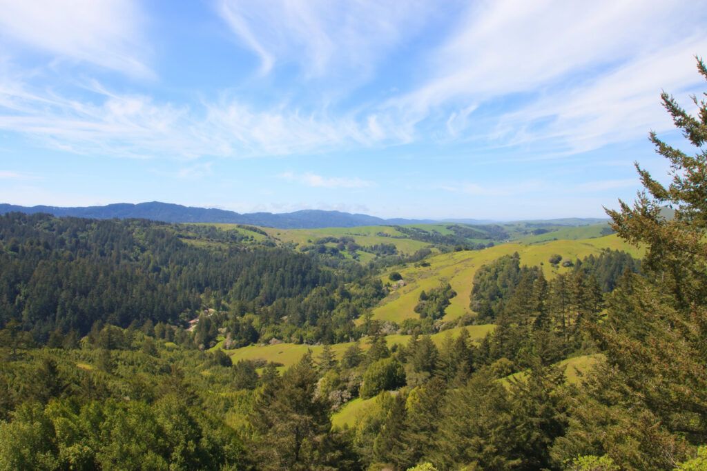 Why Visit Marin County