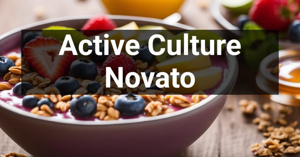 Active Culture in Novato, California