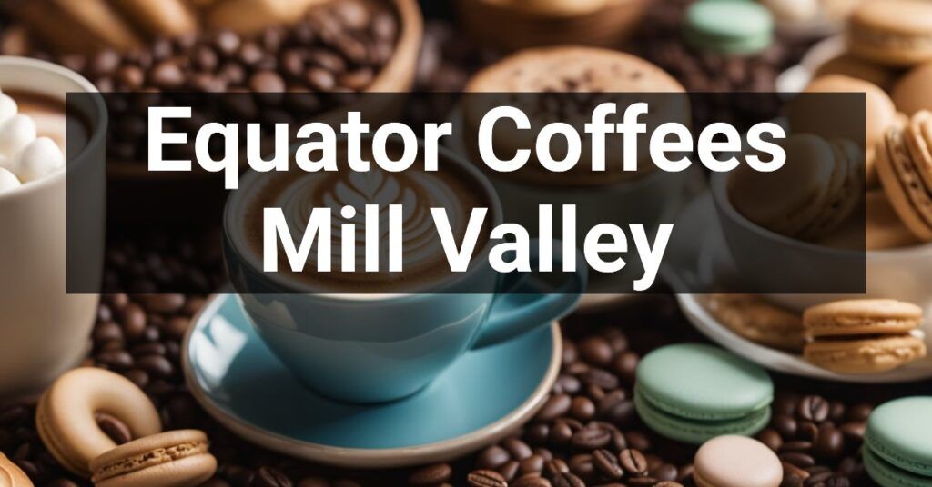 Equator Coffees in Mill Valley, California