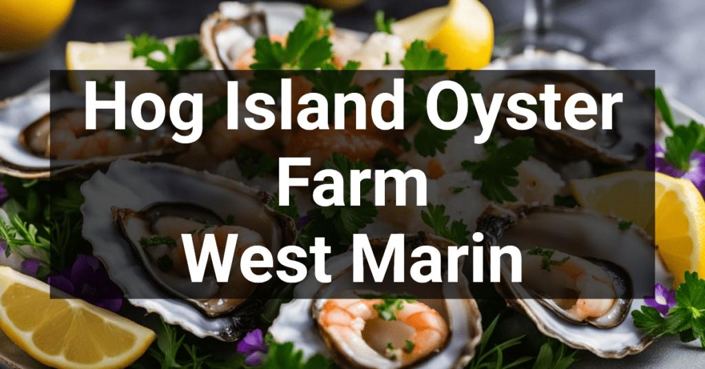 Hog Island Oyster Farm in West Marin, California